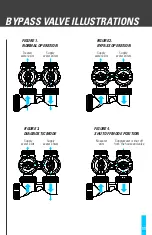 Preview for 13 page of Water Tech Reionator Pro Ultra RXU13 Owner'S Manual