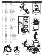 Preview for 3 page of Waterway CLEARWATER II User Manual