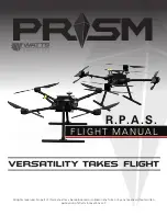 WATTS INNOVATIONS PRISM R.P.A.S. Flight Manual preview