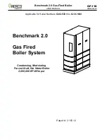 Watts AERCO Benchmark 2.0 User Manual preview