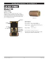 Предварительный просмотр 10 страницы Watts AMES LF960GD-15 Series Installation Manual