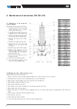 Preview for 6 page of Watts DN100 Installation Manual