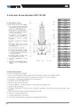 Предварительный просмотр 18 страницы Watts DN100 Installation Manual