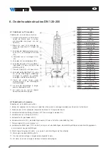 Предварительный просмотр 24 страницы Watts DN100 Installation Manual