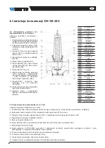 Preview for 42 page of Watts DN100 Installation Manual