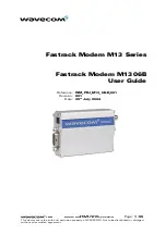 Wavecom FASTRACK M1306B User Manual preview