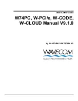 Wavecom W-CLOUD Manual предпросмотр