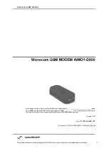 Wavecom WMO1-G900 User Manual preview