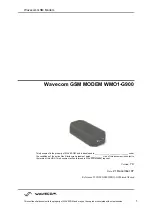 Preview for 1 page of Wavecom WMO1-G900 User Manual