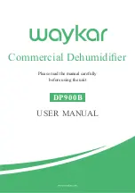 Waykar DP900B User Manual preview