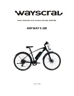 wayscral ANYWAY E-100 Manual предпросмотр