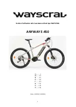 wayscral ANYWAY E-450 Original Instructions Manual preview