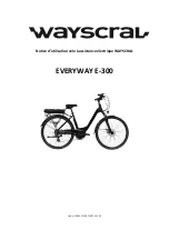 wayscral EVERYWAY E-300 Manual preview