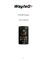 WayteQ P-60 User Manual preview