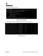 Предварительный просмотр 31 страницы Weatherford SLS Baseline 9000 FID Manual