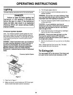 Предварительный просмотр 22 страницы Weber Genesis Jr NG Owner'S Manual