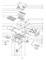 Предварительный просмотр 28 страницы Weber Genesis Jr NG Owner'S Manual