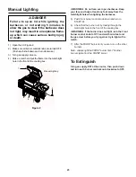 Предварительный просмотр 25 страницы Weber PLATINUM 3200 Series Owner'S Manual