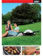 Предварительный просмотр 3 страницы Weber Premium baby Q 100AU User Manual