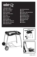 Weber Q200 Series Manual предпросмотр