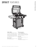 Preview for 25 page of Weber SPIRIT EX-315 LP Assembly Manual And Owner'S Manual