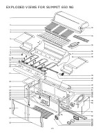 Предварительный просмотр 26 страницы Weber Summit 4 BURNER Operating Manual