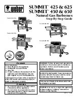 Weber Summit 425 NG Step-By-Step Manual предпросмотр