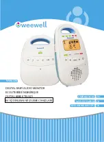 weewell WMA420 User Manual предпросмотр