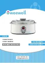 weewell WYM400 User Manual предпросмотр