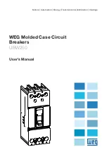 WEG LT1 UBW250 User Manual preview