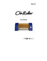 Wegu Chi-Roller User Manual preview