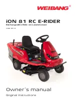 WEIBANG iON 81 RC E-RIDER Owner'S Manual preview