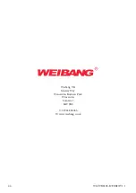 Preview for 44 page of WEIBANG iON 81 RC E-RIDER Owner'S Manual