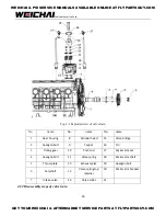 Preview for 47 page of WEICHAI WP10GTA Assembly/Disassembly Manual