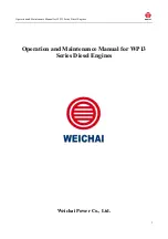 WEICHAI WP13 Series Operation And Maintenance Manual preview