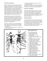 Preview for 13 page of Weider 30664.0 (French) Manuel De L'Utilisateur