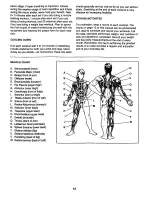 Preview for 12 page of Weider 831.150741 User Manual