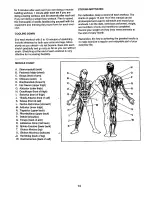 Preview for 14 page of Weider 831.150760 User Manual