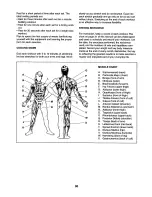 Preview for 30 page of Weider 831.154020 User Manual