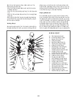 Preview for 33 page of Weider Club C4800 User Manual