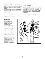 Preview for 18 page of Weider Pro 218 Manual