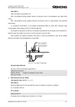 Preview for 28 page of WEIHONG ELECTRONIC Ncstudio Programming Manual