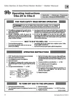 Preview for 38 page of Weil-McLain CGA 2 Series Installation And Maintenance Manual