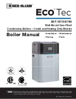 Preview for 1 page of Weil-McLain EcoTec 110 Manual