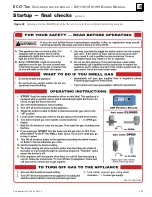 Preview for 101 page of Weil-McLain EcoTec 110 Manual