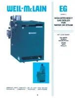 Предварительный просмотр 1 страницы Weil-McLain EG Series 4 Brochure & Specs