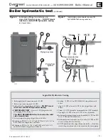 Предварительный просмотр 11 страницы Weil-McLain Evergreen EVG 220 Manual