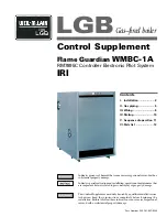 Weil-McLain FLAME GUARDIAN WMBC-1A Control Supplement preview