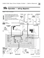 Предварительный просмотр 38 страницы Weil-McLain GOLD CGi User Manual