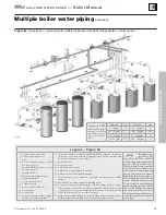 Preview for 59 page of Weil-McLain Gold Plus 40 User Manual